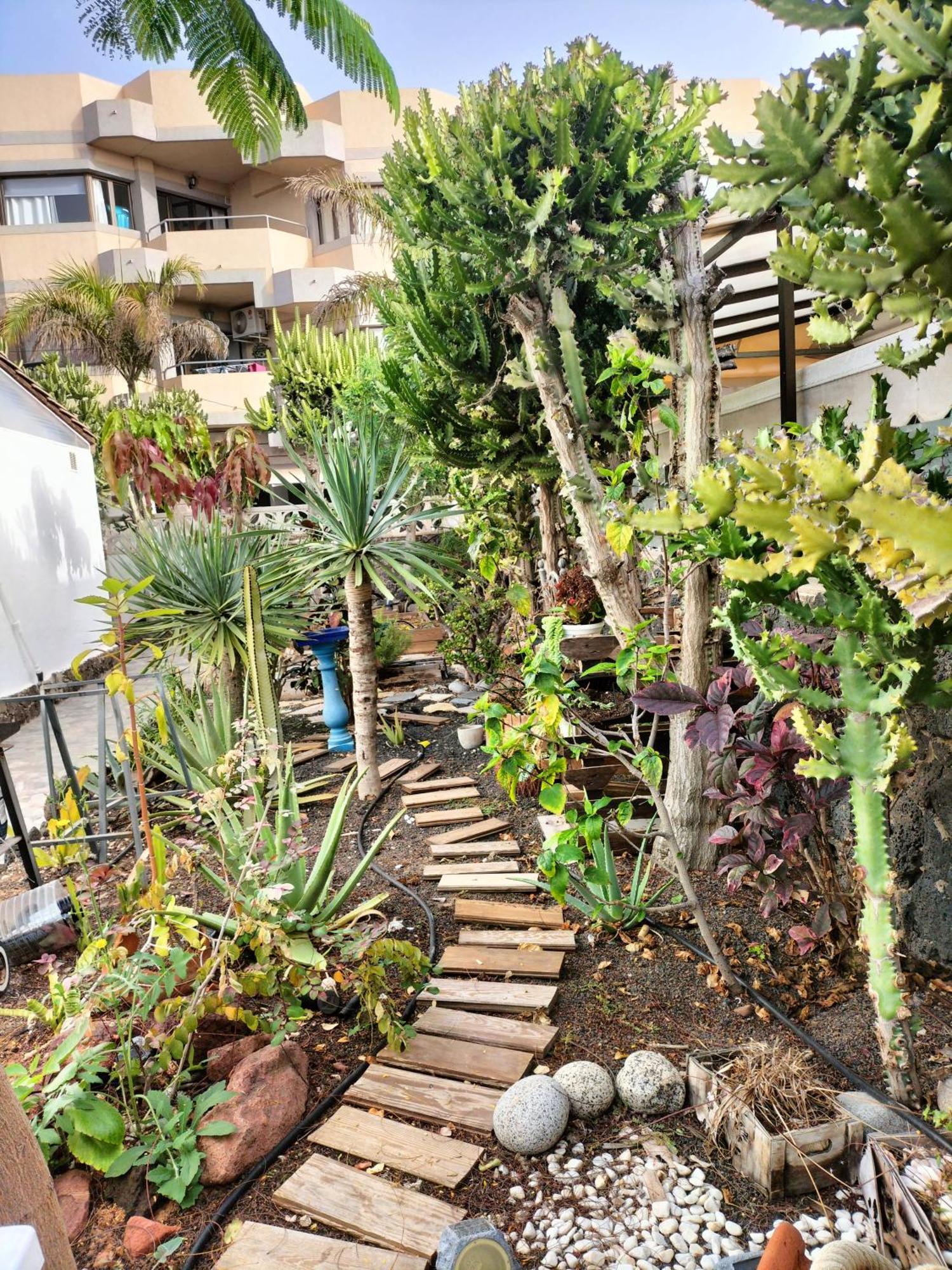Apartamento Diamar Corralejo Ngoại thất bức ảnh